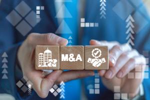 The challenge for pharmaceutical leaders is not just to become larger but to become more capable—the achievement of which may ultimately define the next era of pharmaceutical competition. Credit: Stock.Adobe.com/wladimir1804