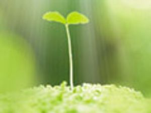 Emerging Pharma Leaders 2012