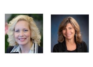 Virtual Medical Affairs Audits: A Viable Alternative