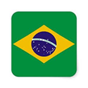 Tapping Brazil's Potential