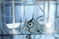 Autonomous solubility tester. Imitation dissolution of the tablet in the human stomach. Scientific research of pharmaceutical laboratory. Laboratory research in pharmacy. | Image Credit: ©neznamov1984 -stock.adobe.com