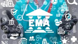 EMA Director Sees Legislation Revamp as Highlight of 2025
