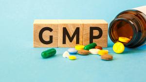 GMP/GDP Inspections: Challenges and Opportunities Revealed by the COVID-19 Pandemic