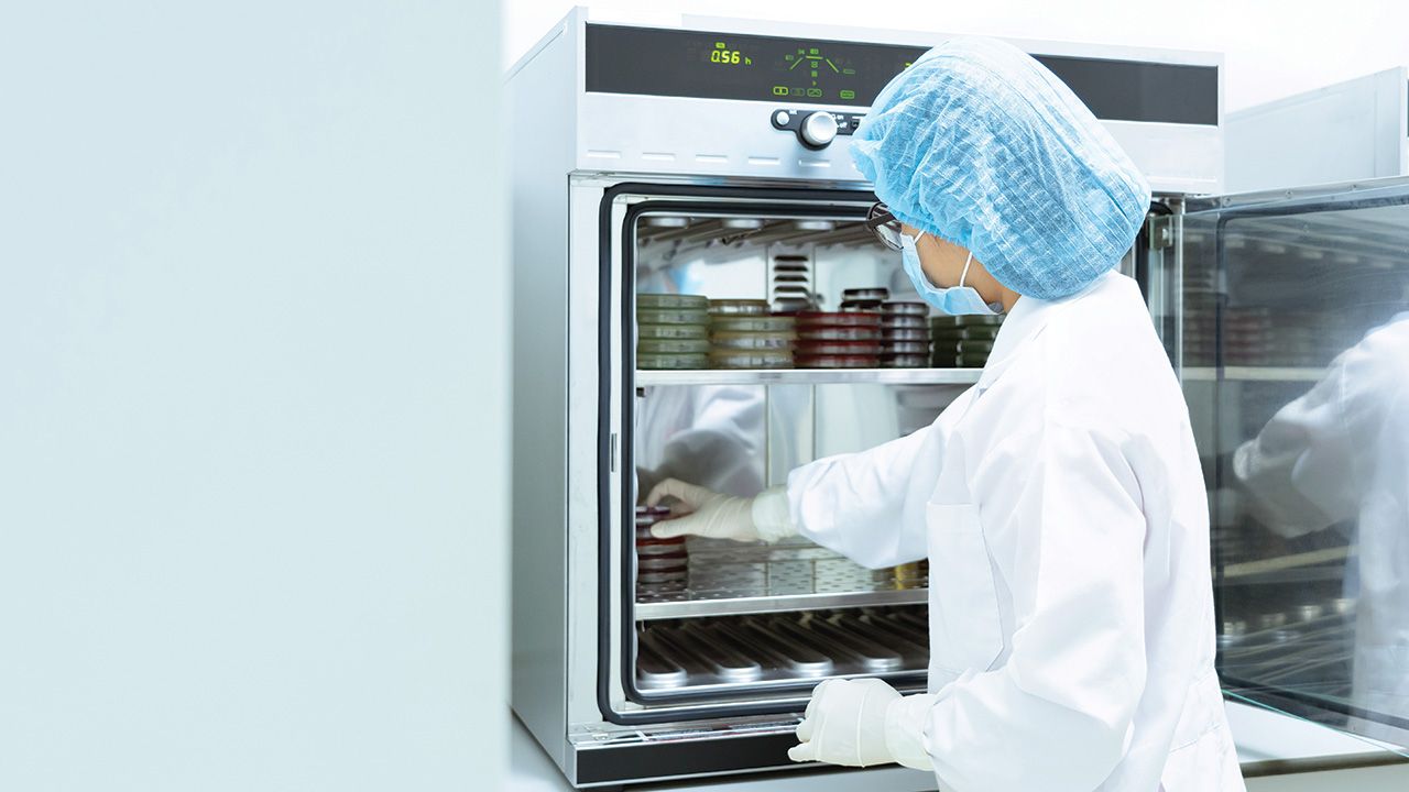 Unidentified microbiologist is place the petri dish and tubes into incubator to incubate the culture of bacteria or fungi growth in appropriate condition, concept of microbial laboratory. | Image Credit: © Sukjai Photo – © Sukjai Photo – Stock.Adobe.com