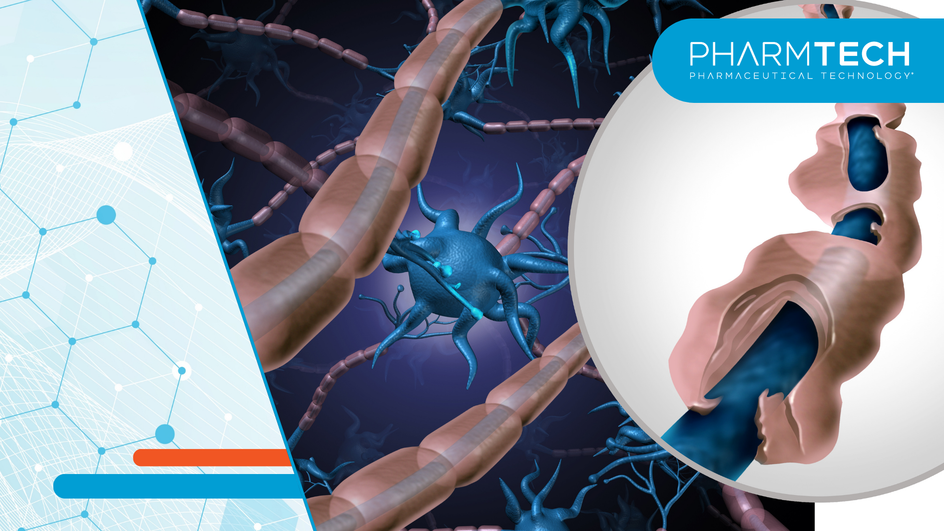 bpc 157 multiple sclerosis Body Protecting Compound (BPC-157 ): Overview, Potential Benefits, and Safety BPC-157 Cost 2026: Real Pricing