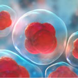 Overcoming Operational and Regulatory Challenges in Autologous Cell-Therapy Facilities