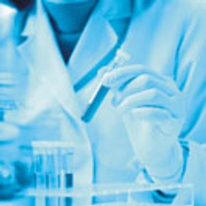 Collaborating for Efficiency and Safety in Raw Material Inspection