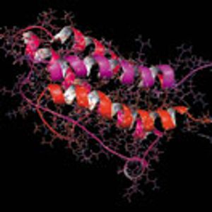 Using Microcalorimetry to Accelerate Drug Development