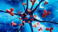 Nerve cell with blue background attacked by red antibodies - 3D illustration of autoimmune disease | Image Source: ©peterschreiber.media -stock.adobe.com