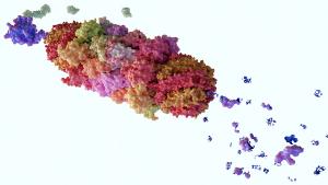 Proteasomes are molecular machines for breaking down proteins called proteolysis, only target proteins that have been marked for destruction called ubiquitin to the target protein, 3d rendering | Image Credit: ©Love Employee -stock.adobe.com