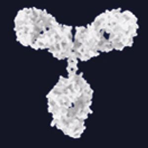 Characterization and Formulation Screening of mAb and ADCs by High-Throughput DLS