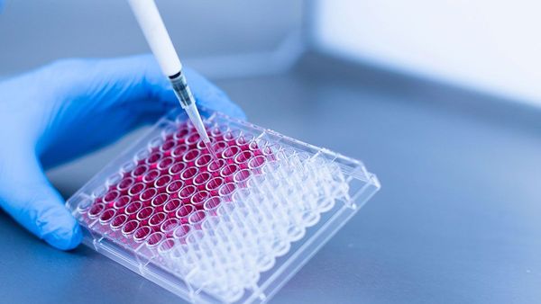 Emerging Therapies Drive Analytical Advancements