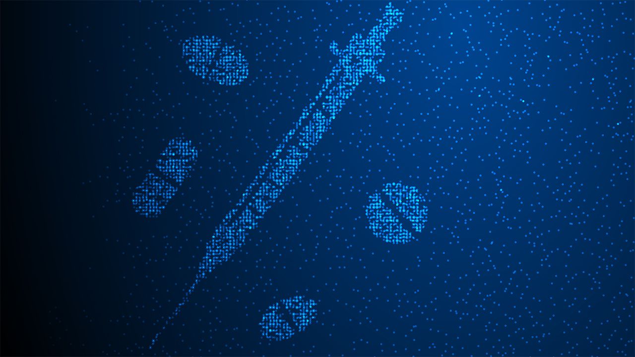 The shape of dosage forms