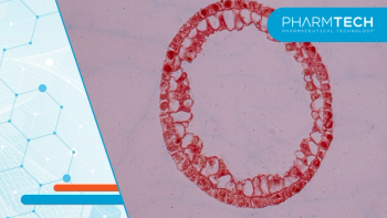 What professionals need to know about the hold of RGX-121 (clemidsogene lanparvovec)for Mucopolysaccharidosis type II (MPS II), also known as Hunter Syndrome by the FDA