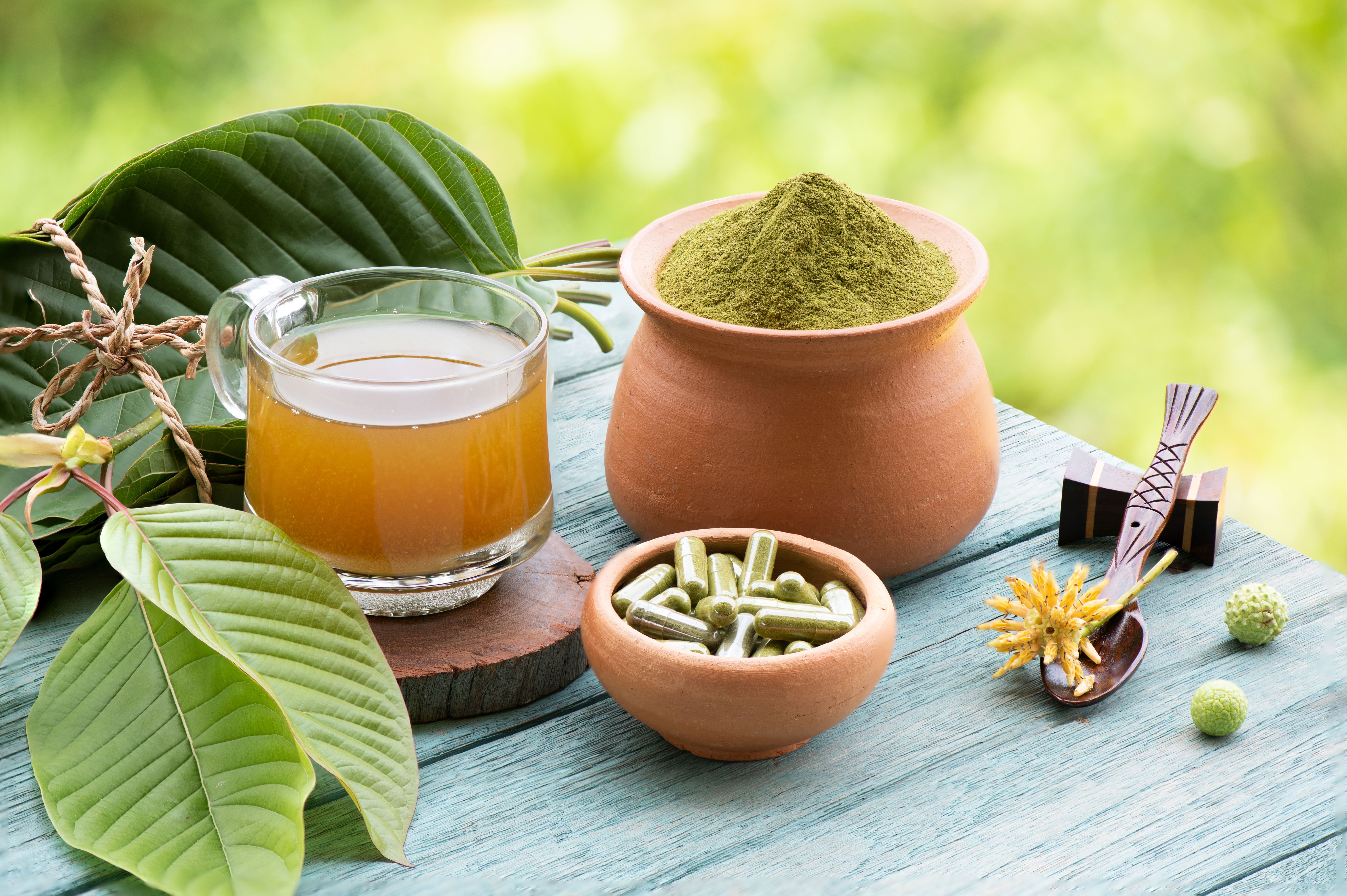 Kratom or Mitragyna speciosa on natural background. | Image Credit: © wasanajai - stock.adobe.com