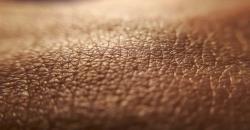 Almirall Selects 2nd Dermatology Target in AI Drug Discovery Collaboration with Absci