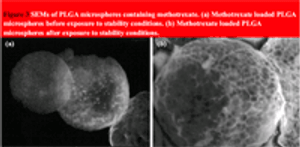Studies of PLGA Microspheres