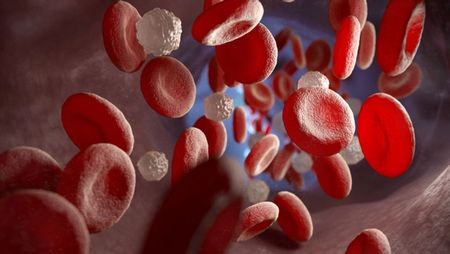 Exploring the Therapeutic Value of Blood Components. Image: Tatiana Shepeleva - stock.adobe.com