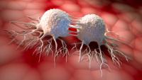 Dividing cancer cells - 3D illustration | Image Credit: ©peterschreiber.media - stock.adobe.com