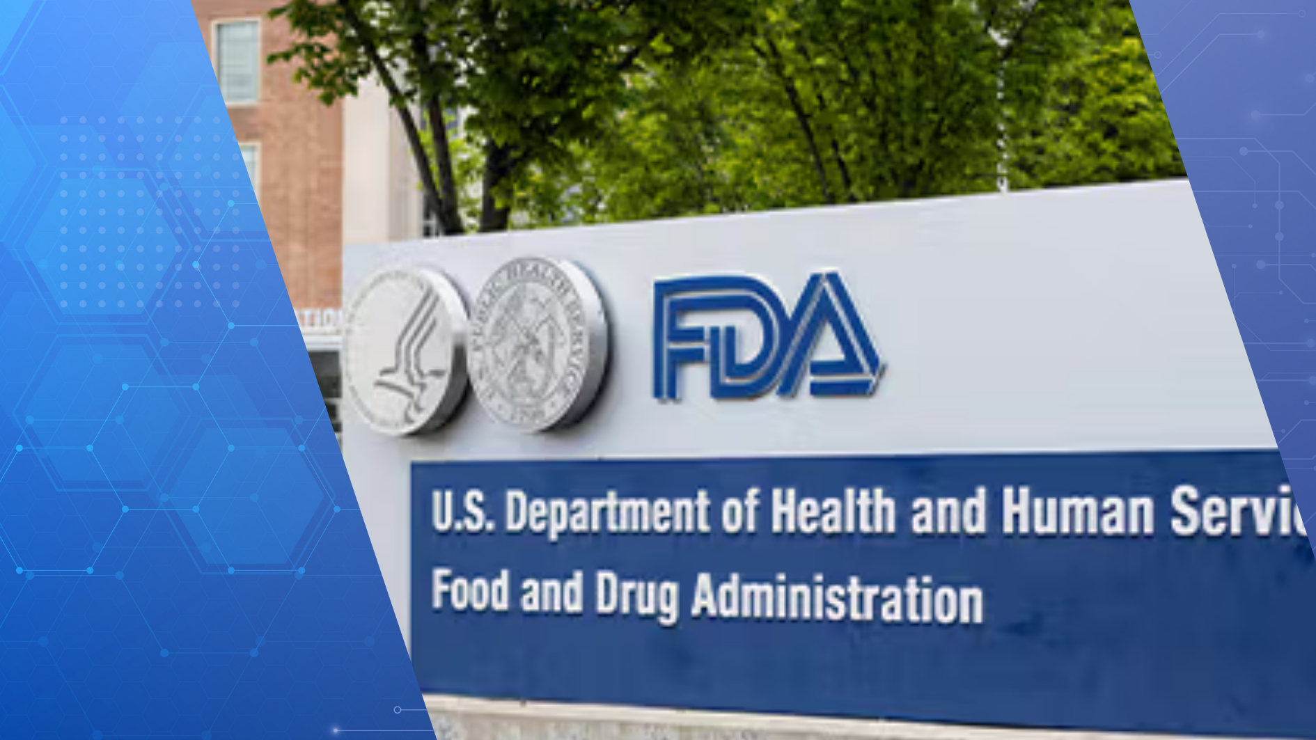 FDA's NAM Guidance | Image Credit: © Tada Images - stock.adobe.com.