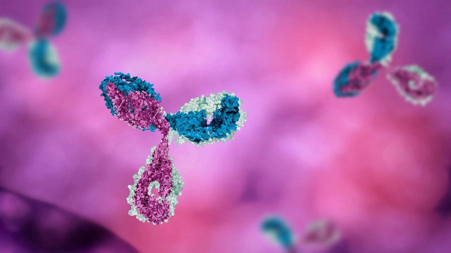 Frontrunners in Bispecific Antibodies; Mirror-images - stock.adobe.com