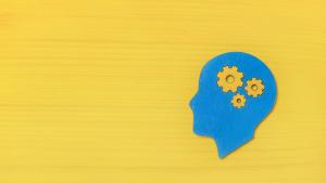 Delivering a Wealth of Expertise