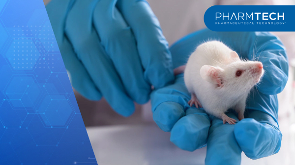 testing drugs and vaccine on mice | Image Credit: ©filin174 -stock.adobe.com