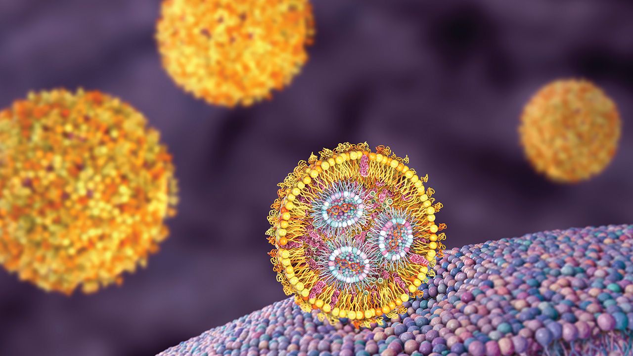 Lipid nanoparticle siRNA antiviral delivery system, 3D illustration | Image Credit: © Dr_Microbe - © Dr_Microbe - stock.adobe.com