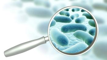 frenta/Stock.Adobe.com–magnifying glass detecting bacteria, contamination