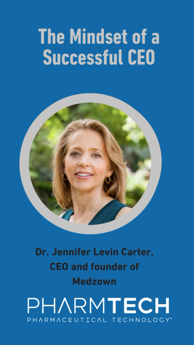 The Mindset of a Successful CEO