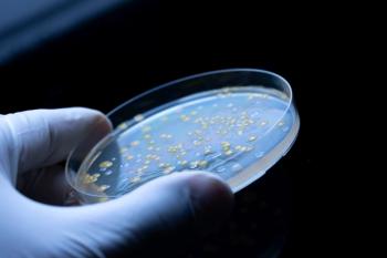 Image Credit: © Alessandro Grandini - stock.adobe.com