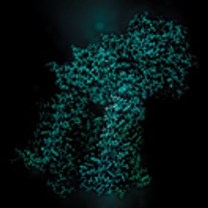 Advances in Delivering Protein and Peptide Therapeutics