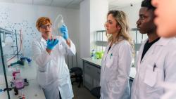 Focusing on the Fundamentals of Formulation