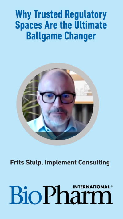 Frits Stulp, Implement Consulting