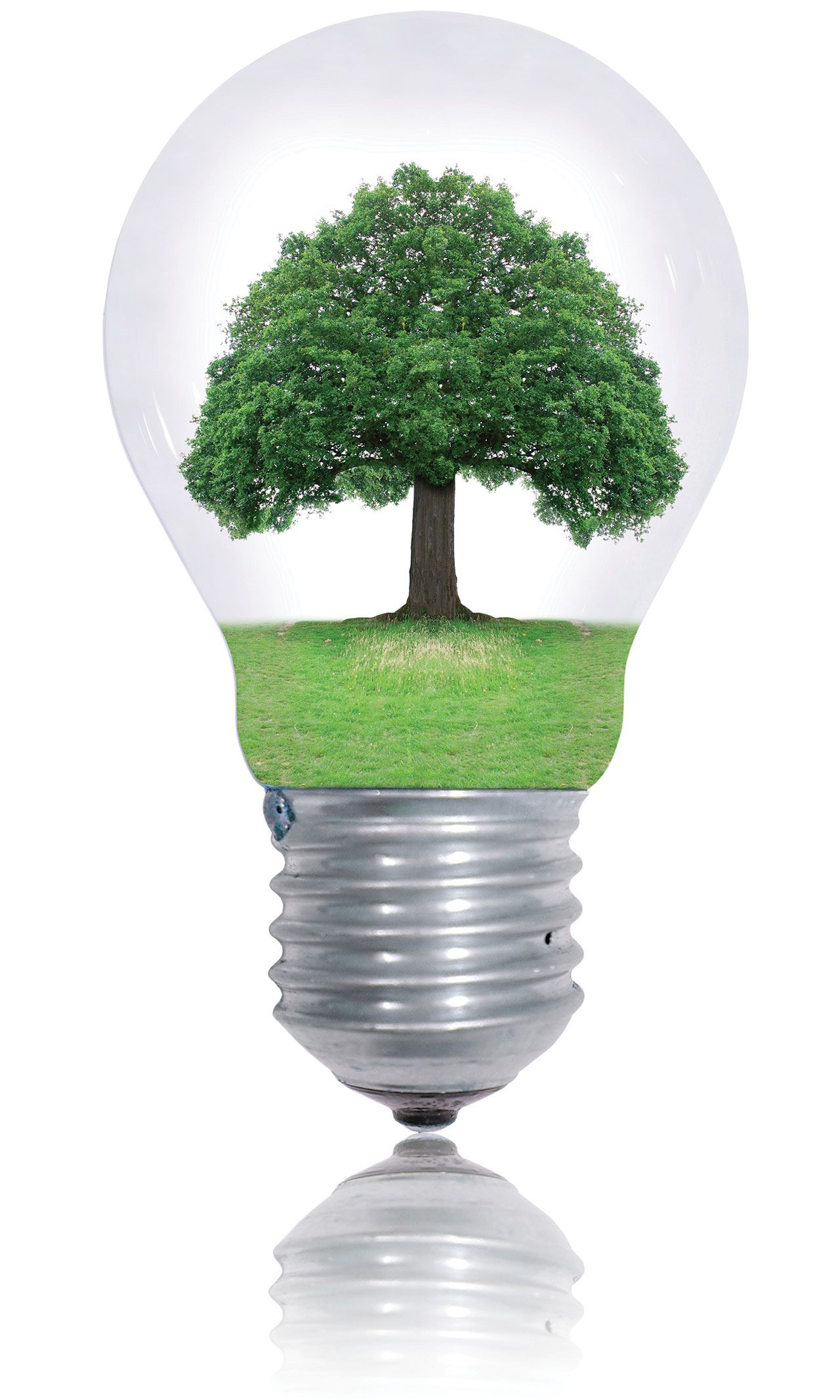 Protect environement | Image Credit: ©Y. L. Photographies -stock.adobe.com