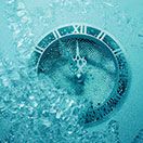 Freeze-Drying Process Optimization