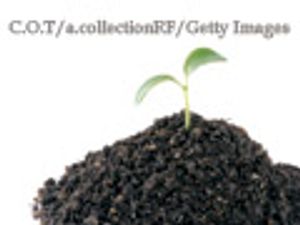 The Many Varieties Of 'Emerging'