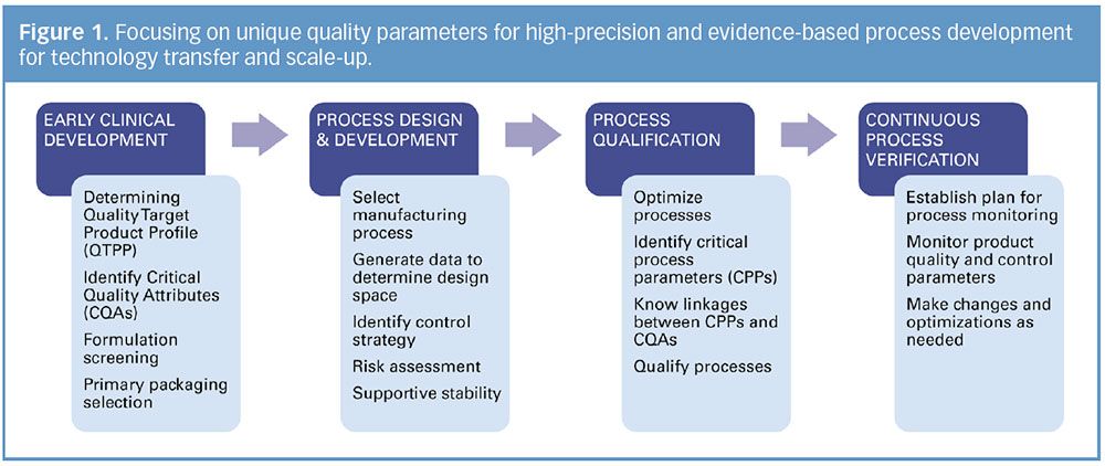 Process Development Transfer Framework Scale-up and Tech Transfer: From Development Lab Studies to Commercial ...