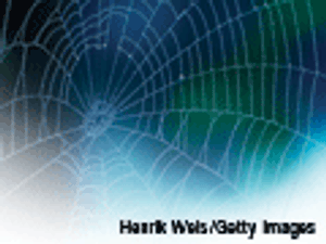 Case study: printing powders with Sticky Web technology