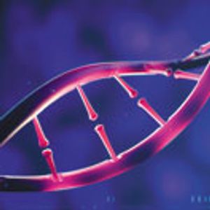 Characterization and Impurity Analysis of Oligonucleotide Therapeutics