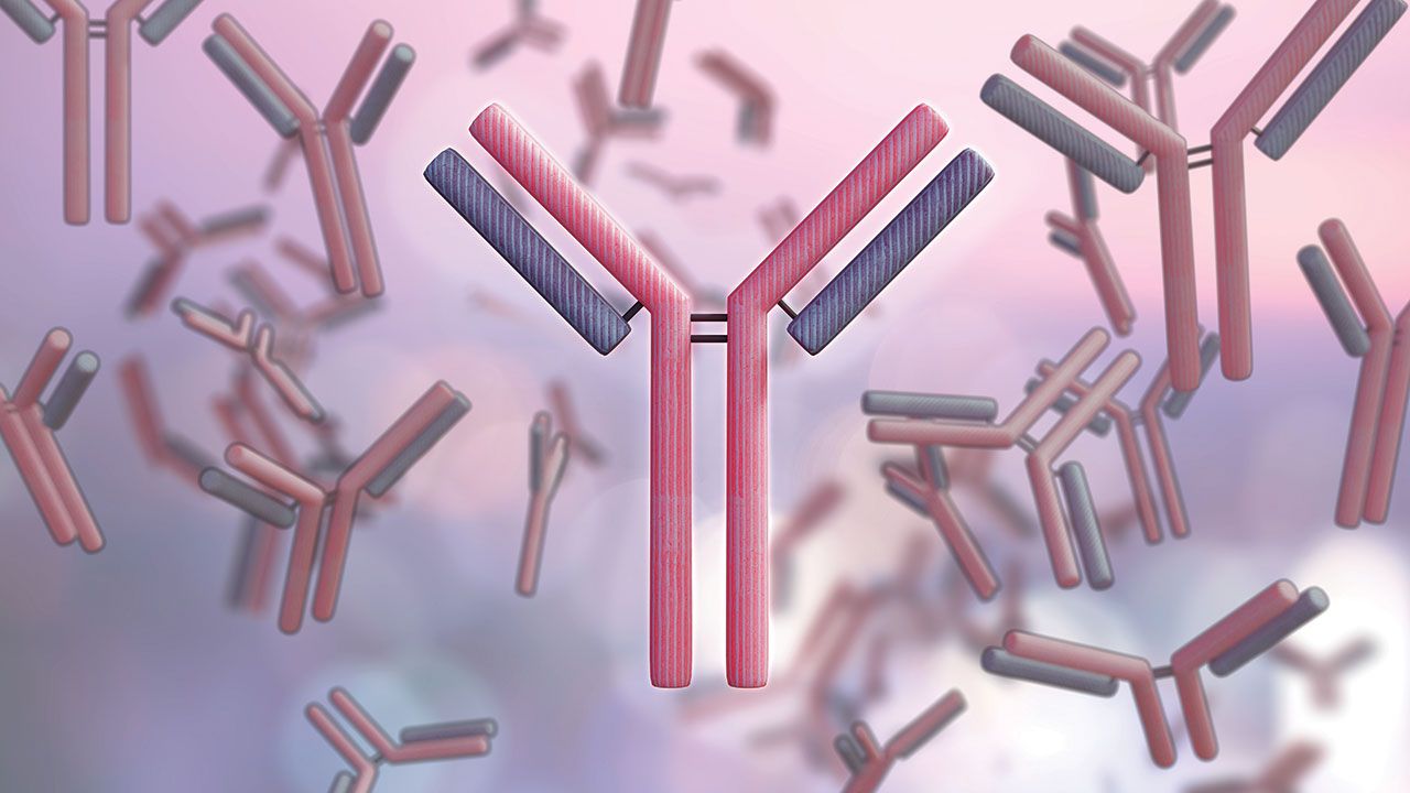 Antibodies floating. 3D illustration | Image Credit: © Steven - stock.adobe.com