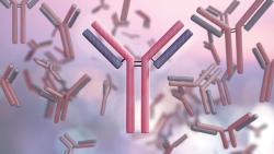 Considering Process Scaling for Monoclonal Antibodies During Early Phase Development