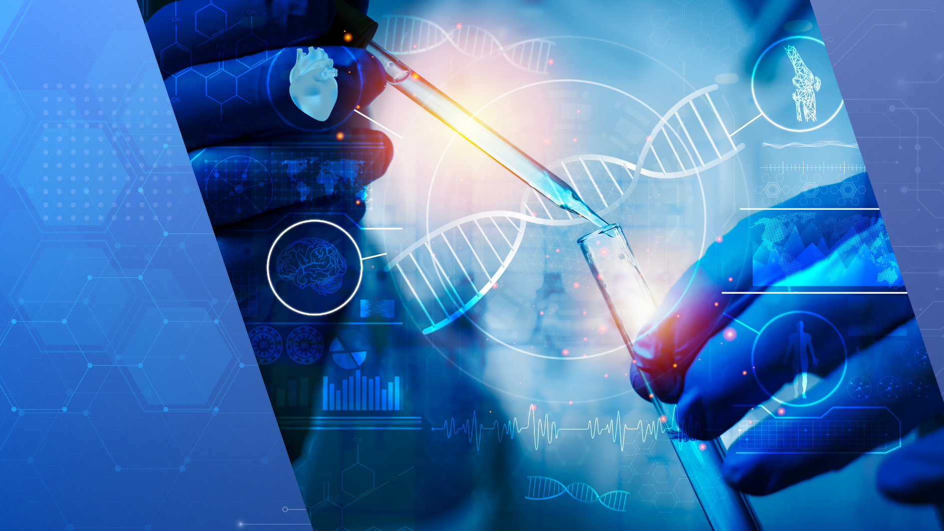 Lilly Acquires Engage Bio Accelerate Development of Non-Viral Genetic Medicines