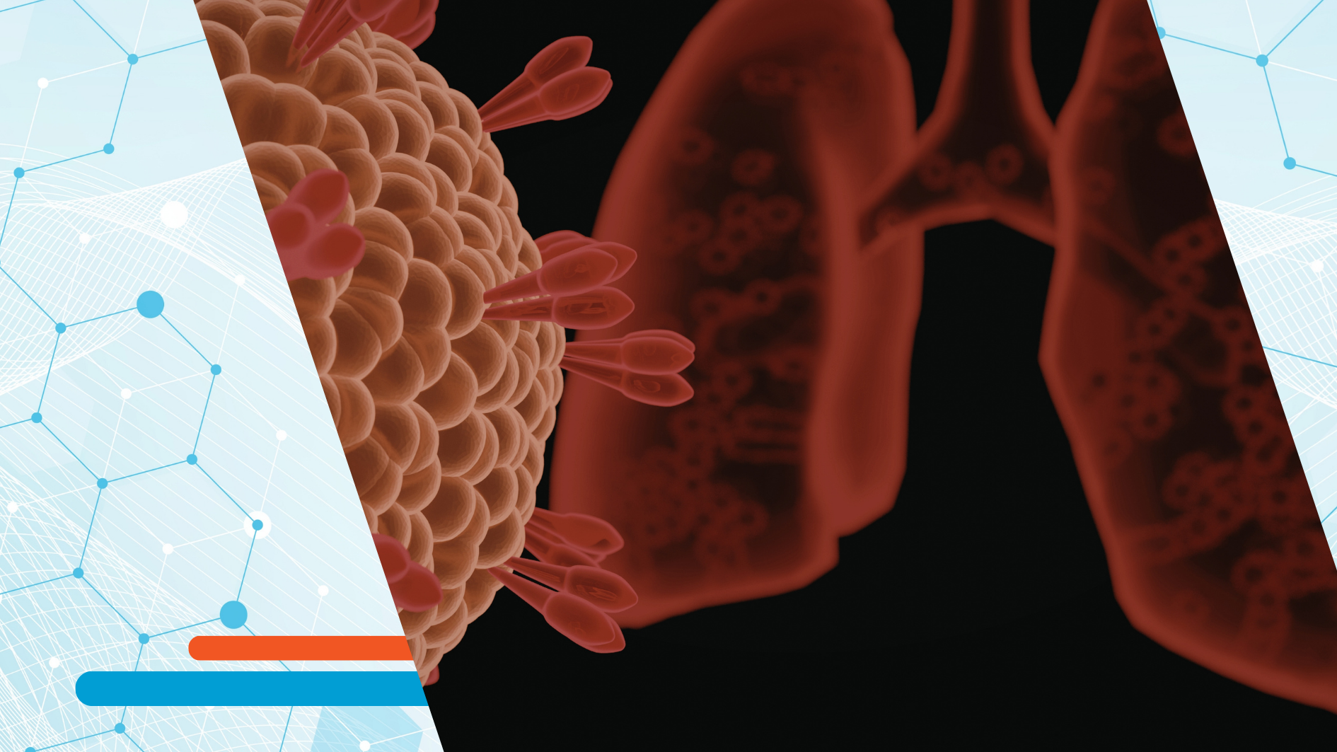 Med Uni Graz and Boehringer Lung Cancer Research Lab | Created with Canva