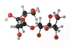 Ashland Previews Fall Conference Exhibits, Including Expanded High-Purity Sugar Portfolio