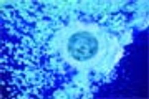 Aqueous Cleaning and Solvent Substitution in Chemical Synthesis API Manufacturing