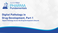 Pharma Fundamentals: Digital Pathology in Drug Development, Part 1