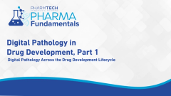 Pharma Fundamentals: Digital Pathology in Drug Development, Part 1