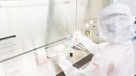 Collaboration Takes Cell and Gene Therapies Closer to Their Full Potential. Image: warut - Stock.adobe.com