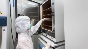 Incubators for Cell Therapy Manufacturing
